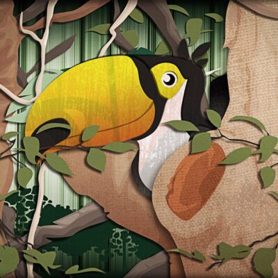 souandresantana-toucan-1529205